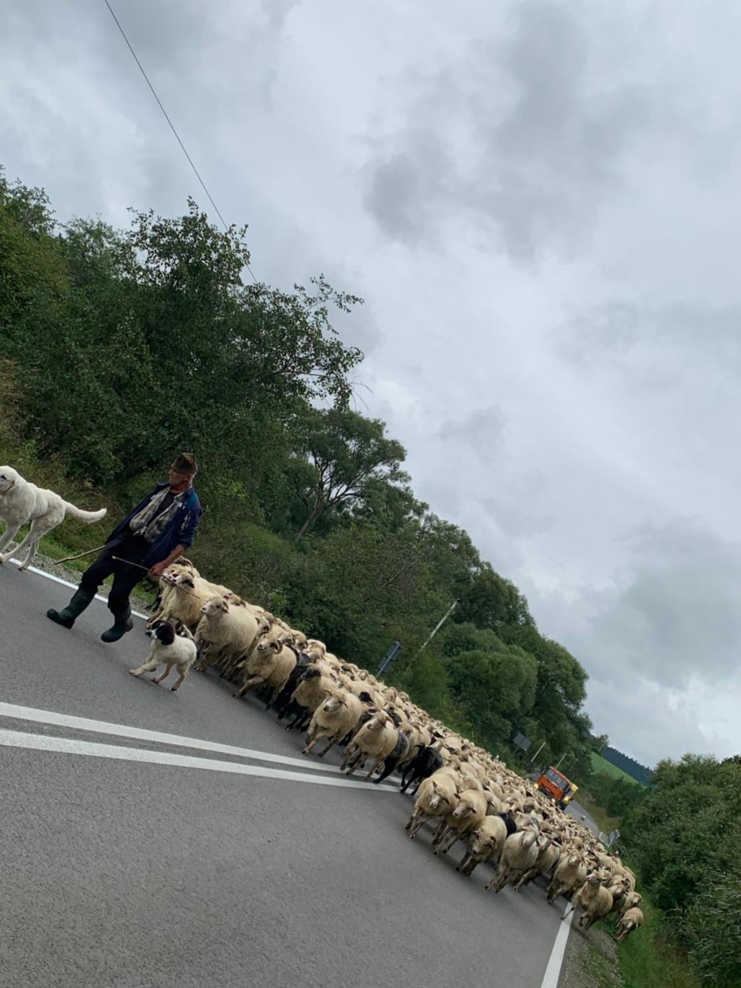 Agroturystyka Dor-Ali U Ali Zubracze Dış mekan fotoğraf